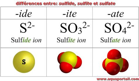 sufiti|sufiti